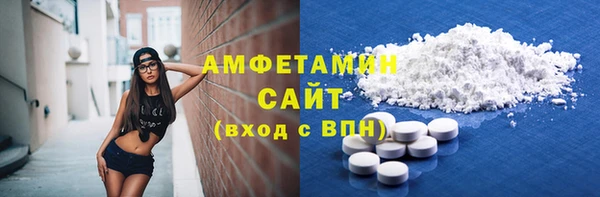молекула духа Няндома