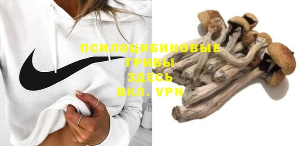 ALPHA-PVP Нязепетровск