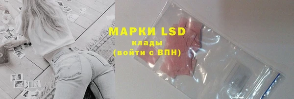 дживик Осташков