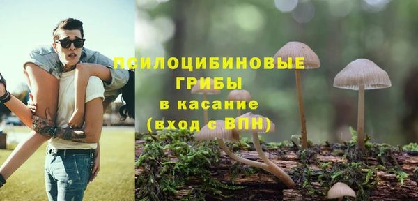 молекула духа Няндома