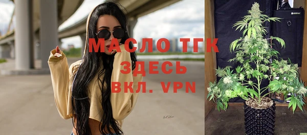 молекула духа Няндома