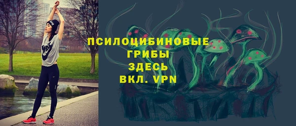 spice Нягань