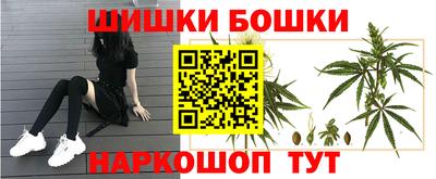 гашик Дубна