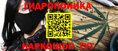 гашик Донской