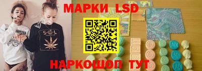 гашик Донской